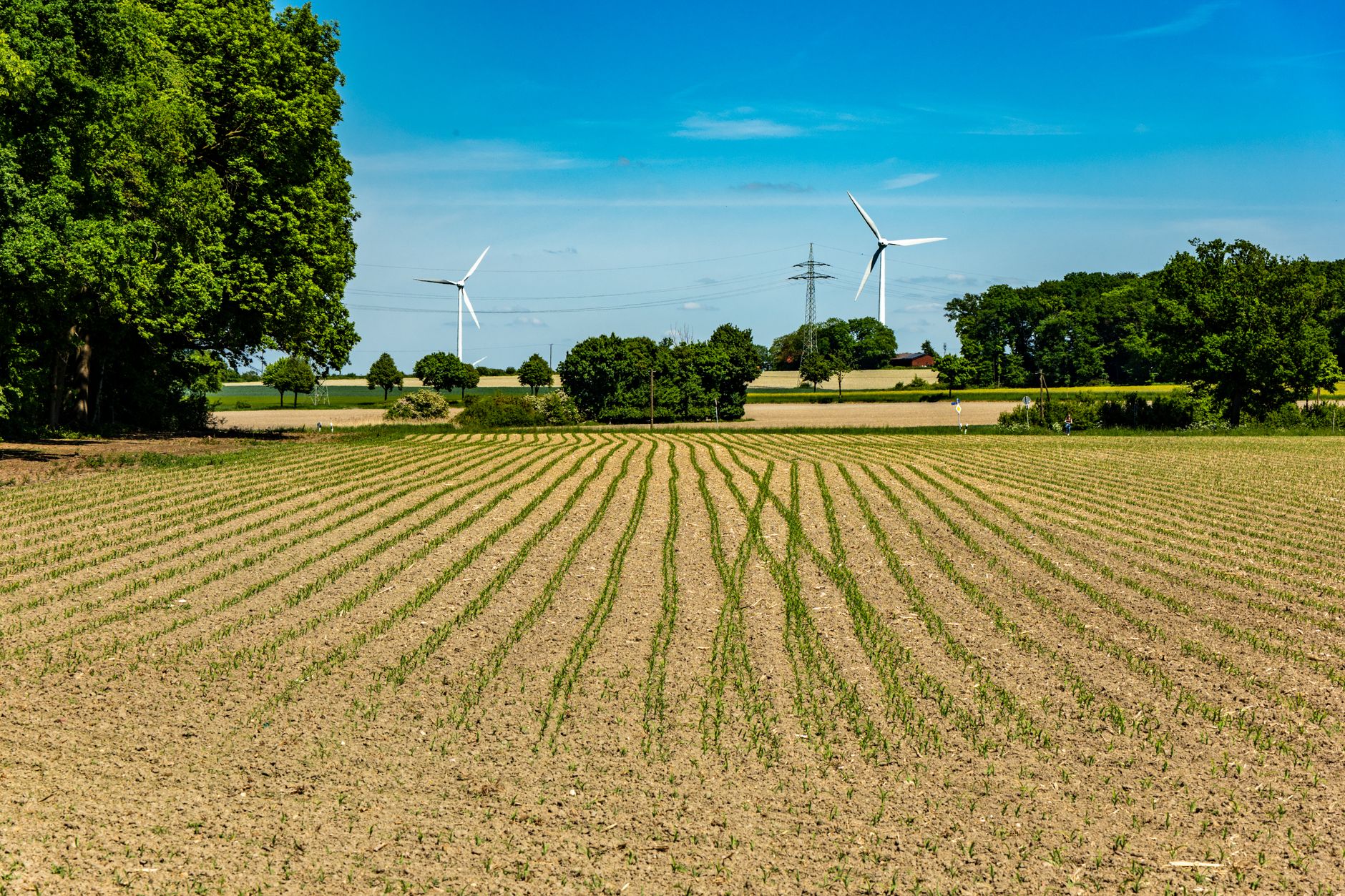 Pourquoi investir dans les énergies renouvelables en pleine expansion ?