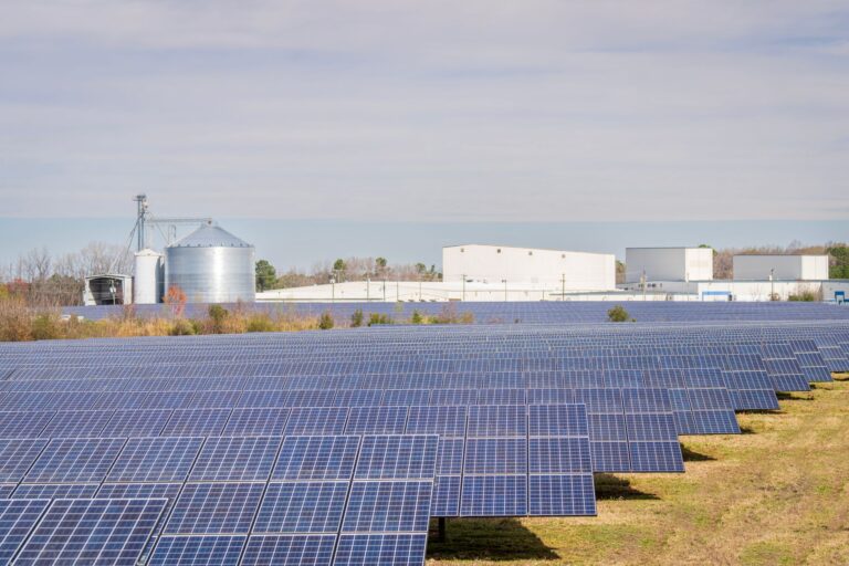 Les critères ESG sont-ils indispensables dans les stratégies d&rsquo;investissement ?