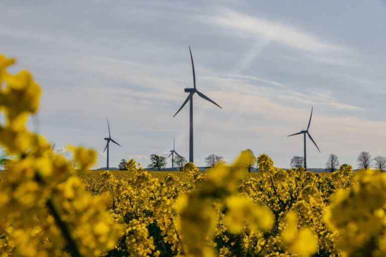 La finance durable : un nouvel horizon pour les investissements ?