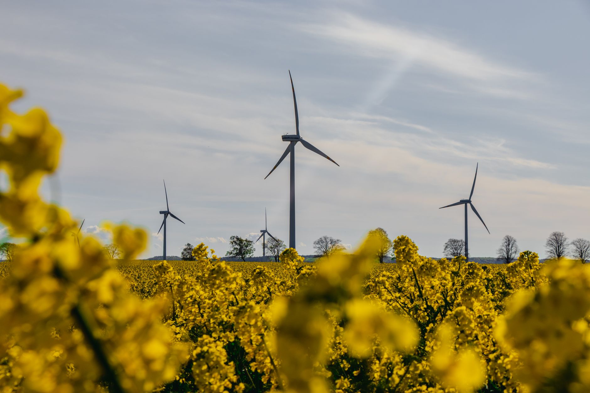 La finance durable : un nouvel horizon pour les investissements ?
