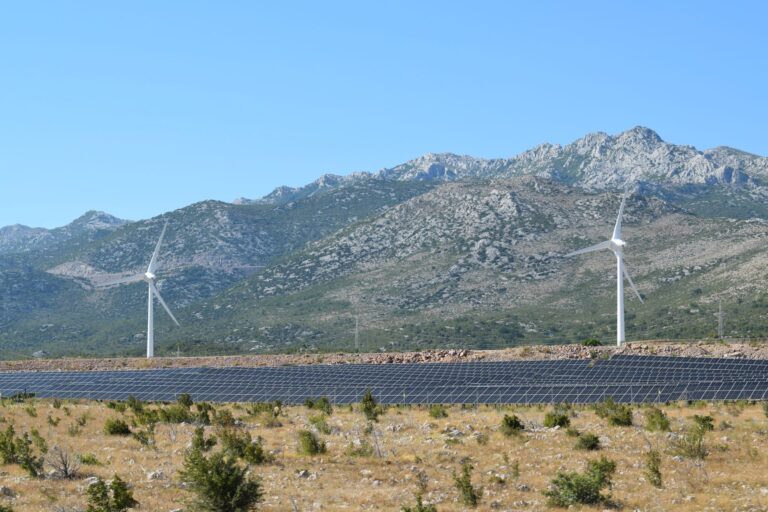 Quelles perspectives pour les fusions et acquisitions dans le secteur de l’énergie renouvelable ?