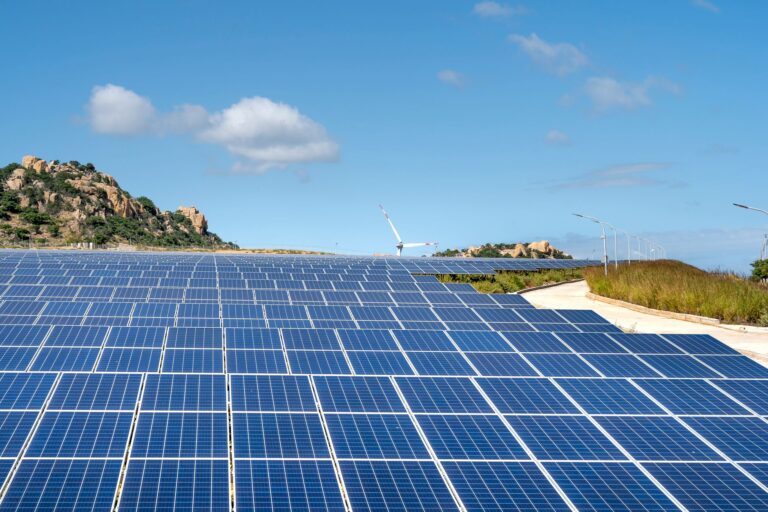 Quelles opportunités de croissance dans les investissements de la transition énergétique ?